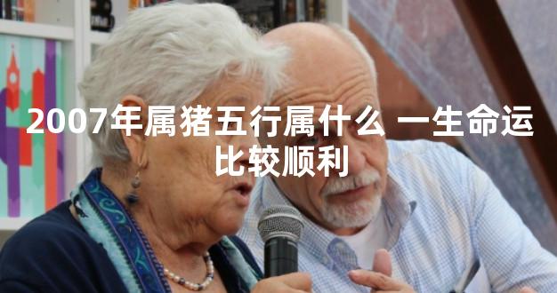 2007年属猪五行属什么 一生命运比较顺利